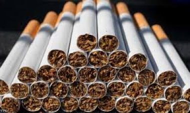رئيس شعبة الدخان: نصف جنيه قيمة الزيادة الحقيقية للسجائر.. وما يحدث يحتاج تدخل الحكومة