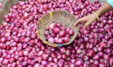 رئيس شعبة الخضروات والفاكهة يطالب بوقف تصدير البصل (خاص)