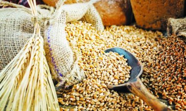 خبير اقتصادي لـ«العاصمة»: «داخلين على أزمة جديدة لارتفاع الأسعار»