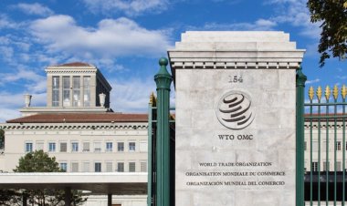 25.3 تريليون دولار.. قيمة التجارة العالمية خلال 2022