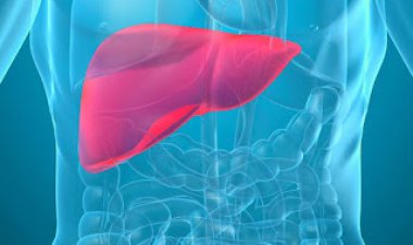 الوشم أبرز أسبابه.. الهلال الأحمر يحذر من التهاب الكبد الوبائي