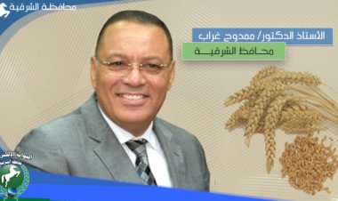استمرار توريد محصول القمح لصوامع وشون محافظة الشرقية