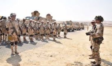 أكاديمي بالجامعة الأمريكية: القوات المسلحة المصرية تتمتع بخبرات تراكمية طويلة