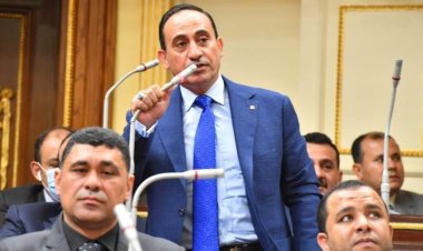 «برلماني»: الأزمات العالمية توجب توطيد العلاقات مع دول العالم خاصة روسيا