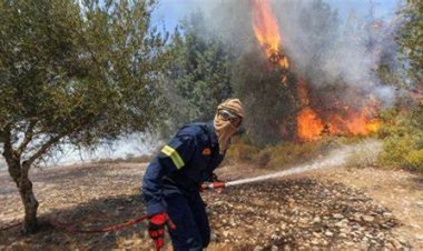 ظاهرة النينو تهاجم دول البحر المتوسط.. النيران تلتهم الغابات وتنبؤات بحرائق شاسعة