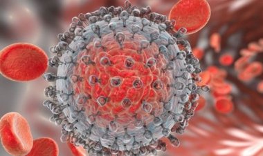 أبرزها التيارات القطبية.. طبيب يكشف أسباب انتشار الفيروسات