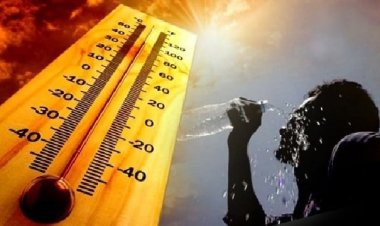 أستاذ بيئة: ارتفاع درجات الحرارة خلال يوليو لم نشهده من قبل