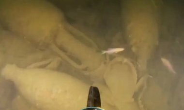 على طريقة جزيرة الشيطان.. العثور على حطام سفينة رومانية بالقرب من الساحل الإيطالي