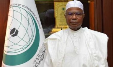 الأمين العام لمنظمة التعاون الإسلامي يستقبل المندوب الجزائري لدى المنظمة