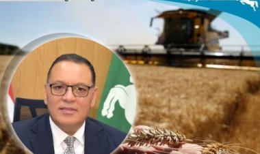 استمرار توريد محصول القمح لصوامع وشون محافظة الشرقية