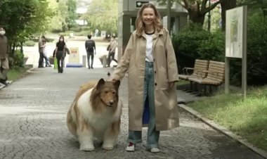 مقابل 20 ألف دولار.. شاب ياباني يتحول لـ «كلب» بعد جراحة دقيقة