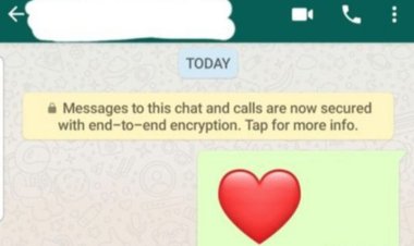 القلب الأحمر طريقك للنوم على البورش.. عقوبات رادعة لمن يرسلها في السعودية والكويت