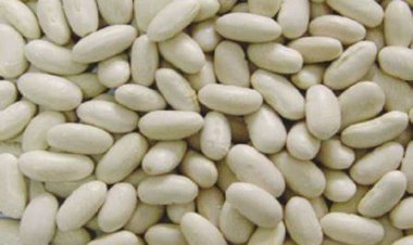 15 فائدة مذهلة للفاصوليا البيضاء.. أبرزها الوقاية من السكري والسمنة