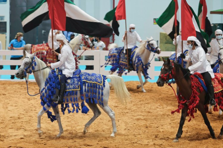 2 سبتمبر موعد انطلاق معرض أبوظبي الدولي للصيد والفروسية