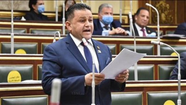 النائب شحاتة أبو زيد: القوات المسلحة المصرية انحازت للإرادة الشعبية في 3 يوليو