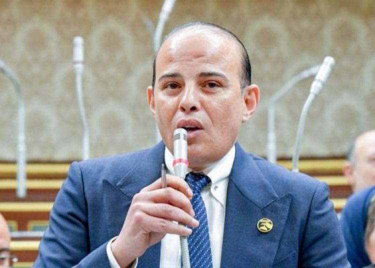 النائب عمرو القطامي: 3 يوليو «ذكرى خالدة» وتدخل الجيش أنقذ الدولة من فوضى عارمة