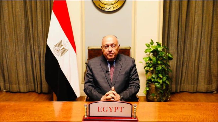 وزيرا خارجية مصر وصريبا يفتتحان أعمال ندوة أكاديمية بمناسبة مرور ١١٥ عاماً على إقامة العلاقات الدبلوماسية