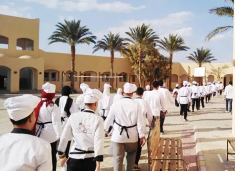 لينك نتيجة دبلوم السياحة والفنادق ثلاث سنوات 2023