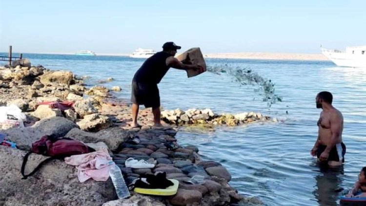 القبض على شاب متهم بإلقاء كسر زجاج بأحد شواطئ الغردقة