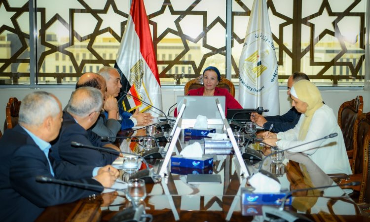 وزيرة البيئة تناقش آليات دعم تنفيذ مشروع إنتاج الأخشاب الـ MDF في مصر