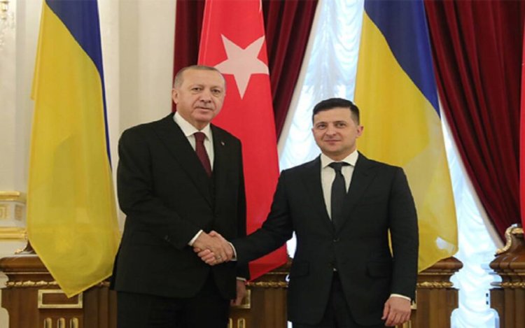 رئيس أوكرانيا وأردوغان يبحثان ملفي الأمن واتفاق الحبوب