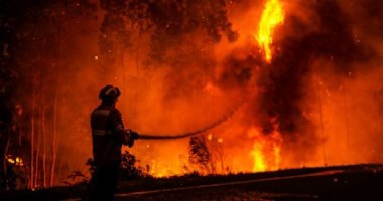 روسيا: تسجيل نحو 102 حريق فى غابات مقاطعة ماجادان خلال يوم واحد