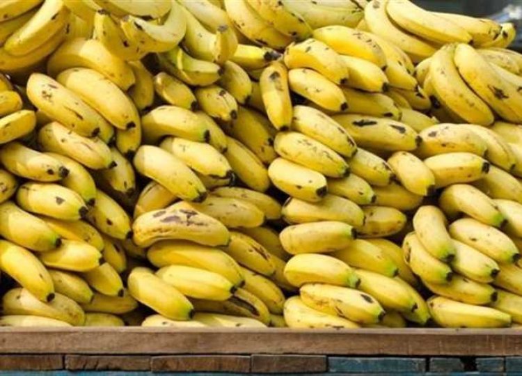 خاص| «هينزل سعره كمان شهرين».. رئيس شعبة الخضار والفاكهة يكشف عن سبب ارتفاع أسعار الموز
