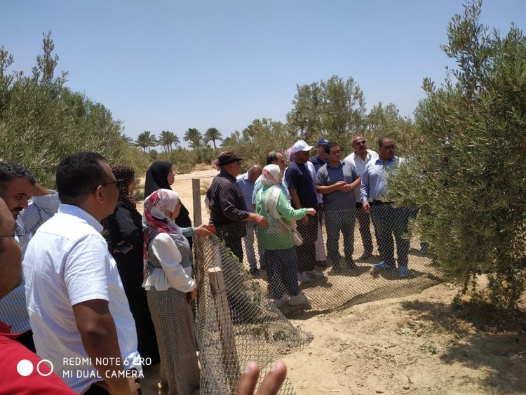 الزراعة: وفد الفاو يتفقد أنشطة مركز بحوث الصحراء في جنوب سيناء