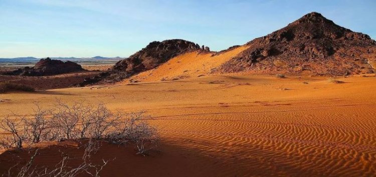 «1763» عالقاً بالصحاري السعودية و4 وفيات خلال شهر