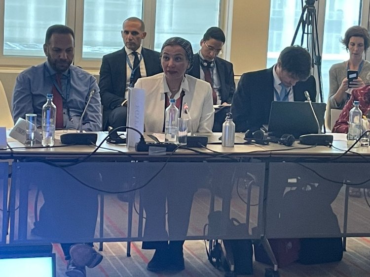 وزيرة البيئة تعرض رؤية عامة لمسار ملف الخسائر والأضرار حتى "مؤتمر المناخ" القادم بدبي