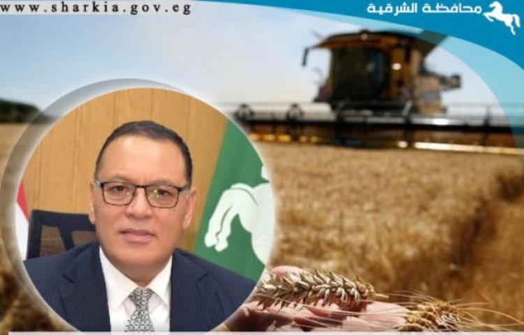 تخزين «٥٣٥٤٨٥ طن و ٢٧٣ كيلو قمح» بمحافظة الشرقية حتى الآن