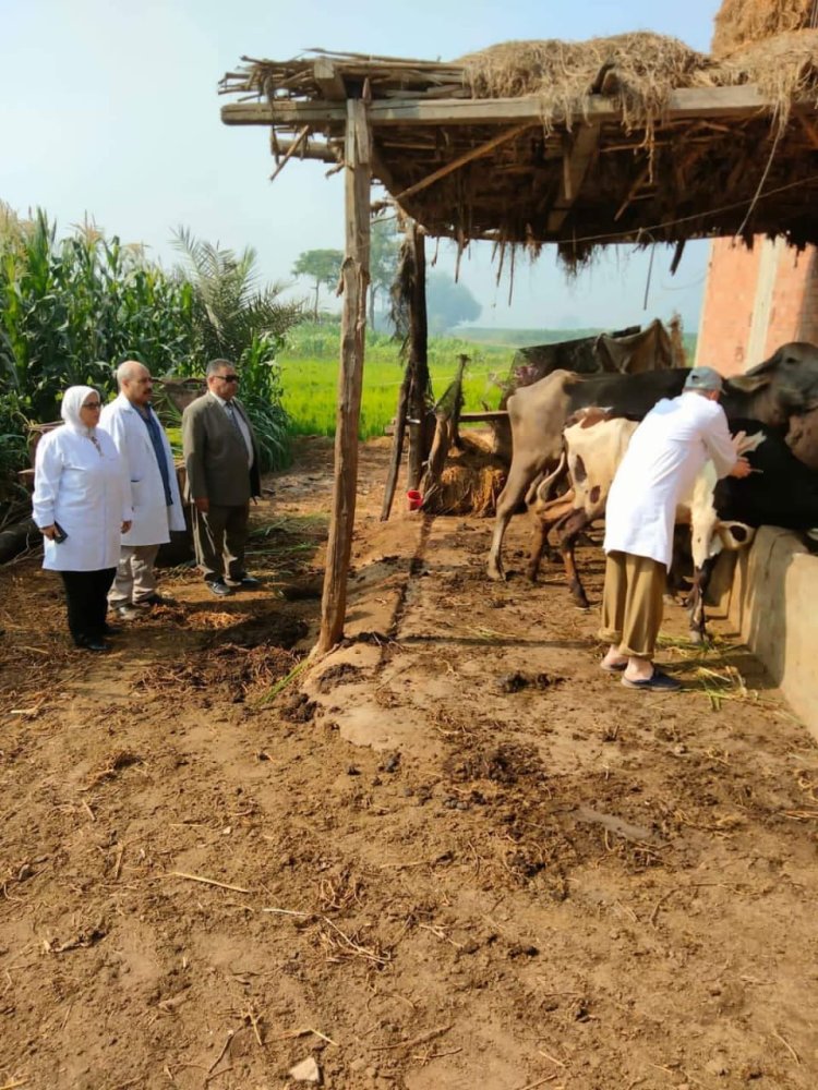 محافظة الدقهلية يتابع أعمال مقاومة الحمى القلاعية وحمى الوادى المتصدع لتحسين الثروة الحيوانية