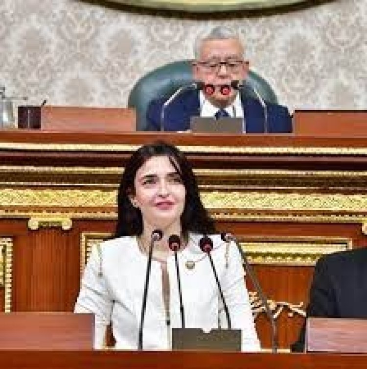 سؤال برلماني بشأن حرمان هيئة سلامة الغذاء الصيادلة من تحضير الماجستير