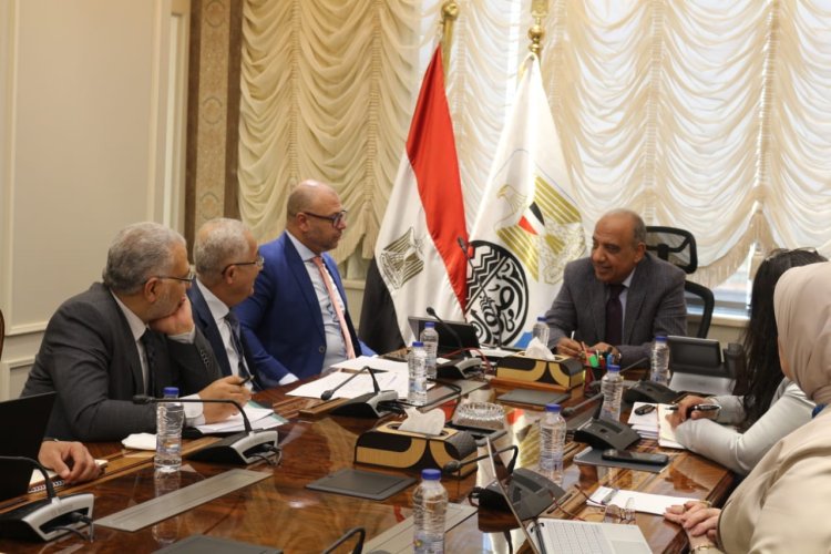 وزير قطاع الأعمال: سياسة تسويقية وبيعية للقطن تضمن سعر عادل للمزارعين