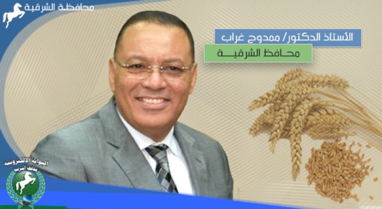 استمرار توريد محصول القمح لصوامع وشون محافظة الشرقية