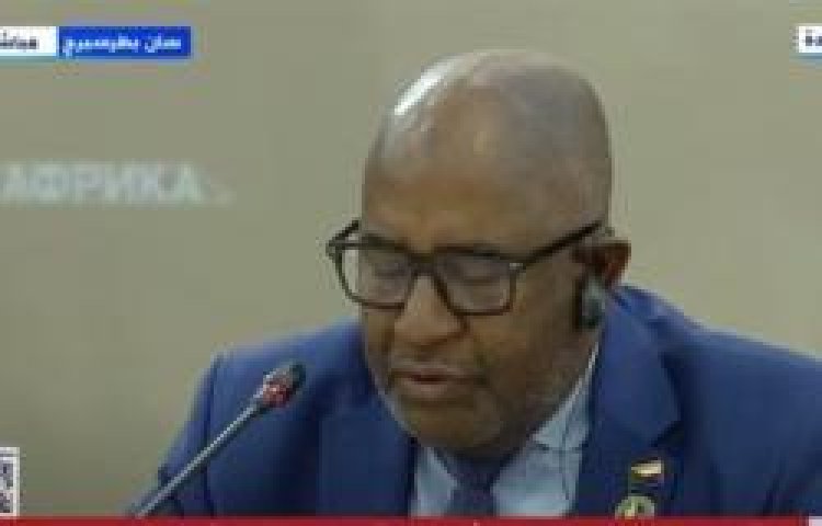 الاتحاد الأفريقي من روسيا: نواجه أزمة غذاء.. ونحن على حافة الانهيار