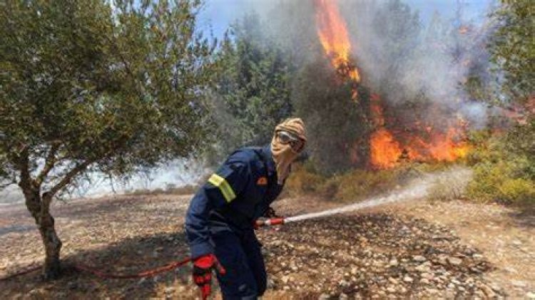 ظاهرة النينو تهاجم دول البحر المتوسط.. النيران تلتهم الغابات وتنبؤات بحرائق شاسعة