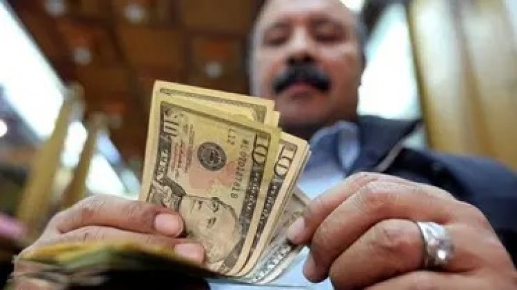 مساعد وزير الخارجية الأسبق: تحويلات المصريين في الخارج بلغت 32 مليار دولار