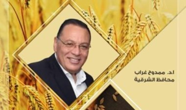 صوامع وشون الشرقية تستقبل 535 ألف طن قمح حتى الآن