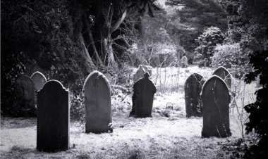 أمين الفتوى: زيارة القبور تجعل الميت في قمة الفرح