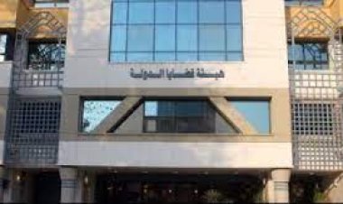 هيئة قضايا الدولة تنقذ الخزانة العامة من دفع 236 مليون يورو