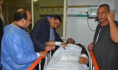 مستشفى افتراضي لتشخيص الأمراض عن بعد بمصر.. ما القصة؟