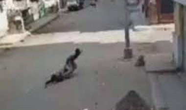 سحل فتاة على يد شاب ووالدته بعد التحرش بها في المرج