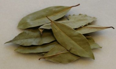 يقضي على الكوليسترول ويحسن الهضم.. 12 فائدة لـ«أوراق الغار»