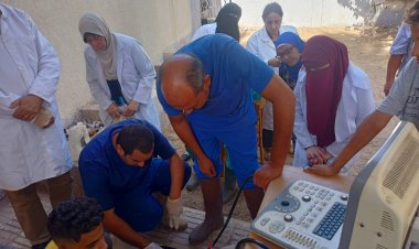 بإجمالي 3800 رأس ماشية.. التناسليات الحيوانية يطلق قافلة بيطرية مجانية بالقليوبية