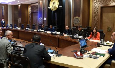 رئيس الوزراء يستعرض مشروع إقامة محطة عملاقة للهيدروجين الأخضر