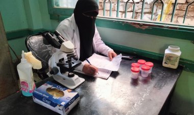 محافظ كفر الشيخ: تقديم الخدمة الطبية لـ1824 مواطنا فى قرية أبو الكنايس