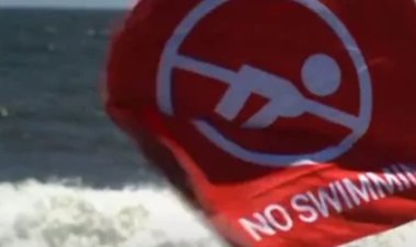 امرأة تتعرض لهجوم قرش يعد الأخطر منذ الخمسينيات في نيويورك.. ما القصة ؟