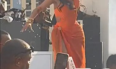 بعد أن ضربت به أحد الحضور بحفلها.. ميكروفون كاردي يُباع بـ 9 آلاف دولار