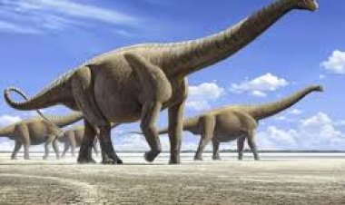 بعد 167 مليون سنة.. علماء الهند يكتشفون بقايا الديناصورات غرب  البلاد